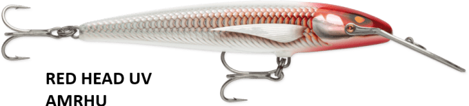 Countdown® Magnum Elite 145